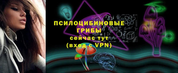 ГАЛЛЮЦИНОГЕННЫЕ ГРИБЫ Абаза