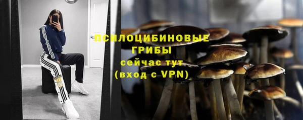 ГАЛЛЮЦИНОГЕННЫЕ ГРИБЫ Абаза