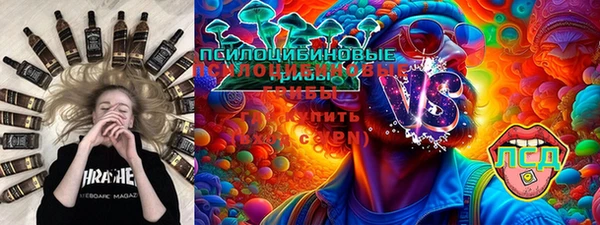 ГАЛЛЮЦИНОГЕННЫЕ ГРИБЫ Абаза