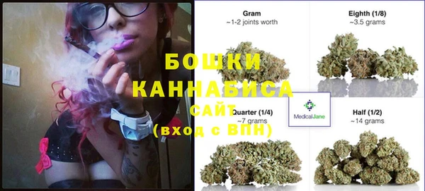 ГАЛЛЮЦИНОГЕННЫЕ ГРИБЫ Абаза