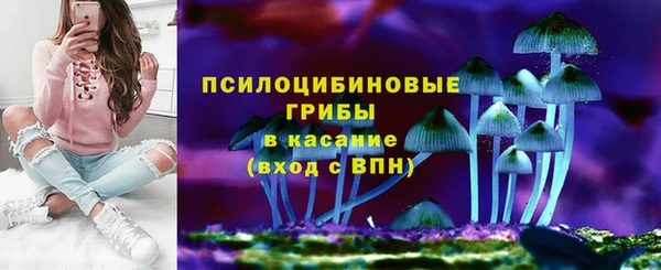 соль ск Абдулино