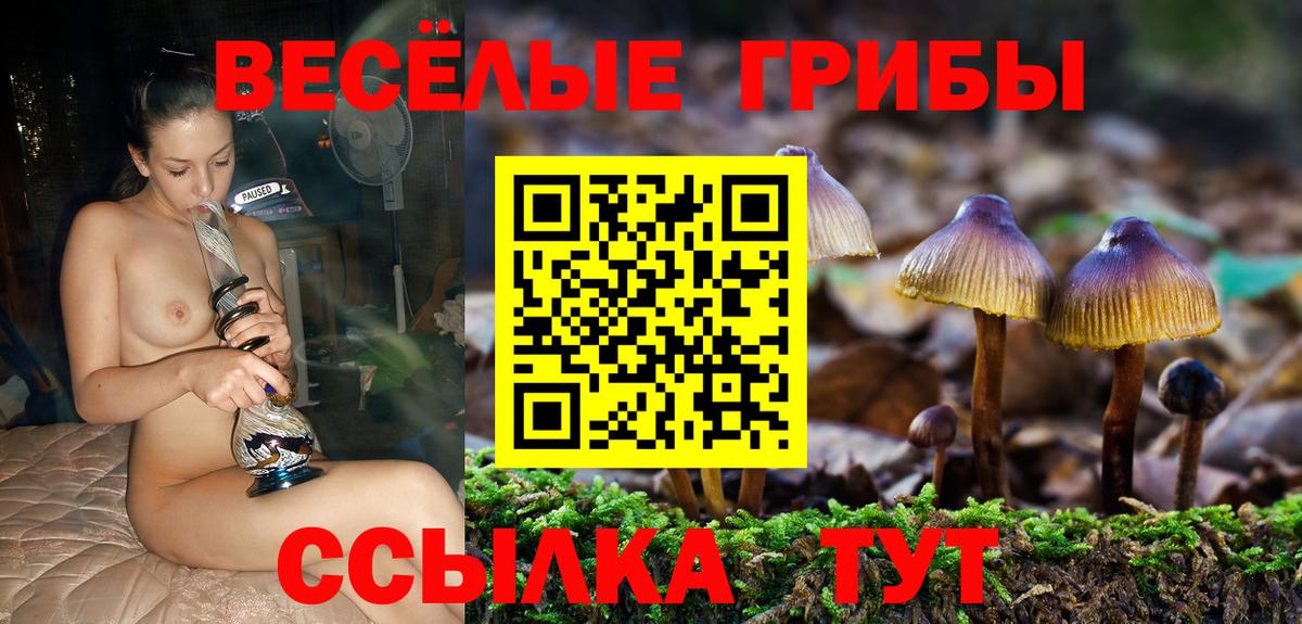 Псилоцибиновые грибы Psilocybe  Вход с VPN  Каменск-Шахтинский  Псилоцибиновые грибы MAGIC MUSHROOMS 